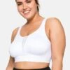 Sheego Sport-BH Mit Mittlerer Stützkraft - Weiß -Sheego 6ba930ce1b8d4fe59e4a166d2505c800