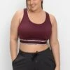 Sheego SPORT-BH - Bustier - Aubergine 1 Sheego SPORT-BH - Bustier - Aubergine -Sheego c9ae3a8506504e45b58e6de194c4ff20
